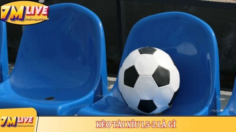 Kèo tài xỉu 1.5-2 là gì? Đặc điểm, cách tính tiền chính xác