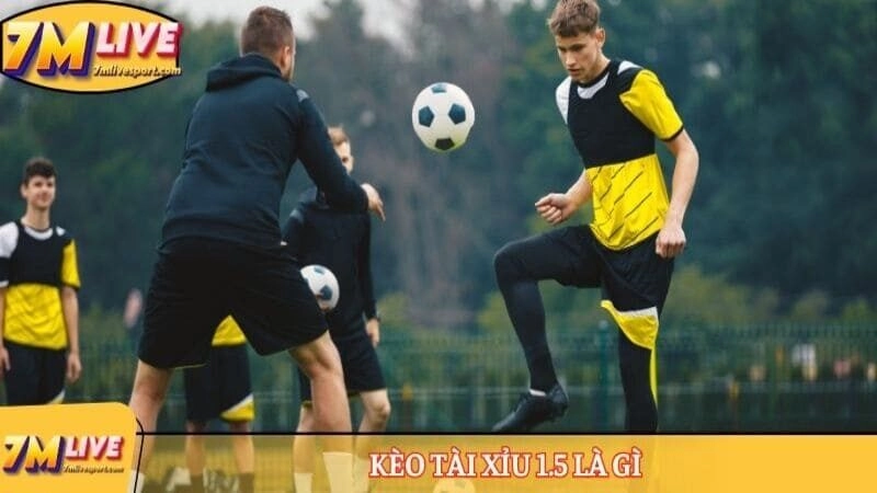 Kèo tài xỉu 1.5 là gì – Khám phá những kiến thức chuẩn nhất