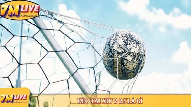 Kèo tài xỉu 2-2.5 là gì? Cách đọc chuẩn và ví dụ cụ thể