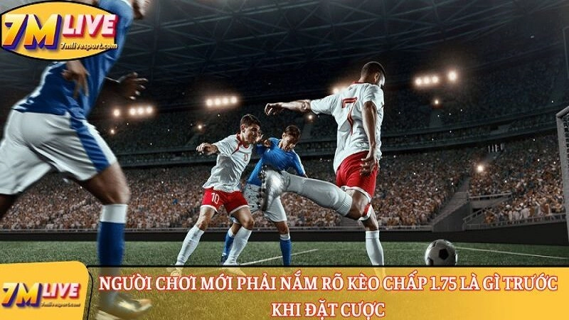 kèo chấp 1.75 là gì